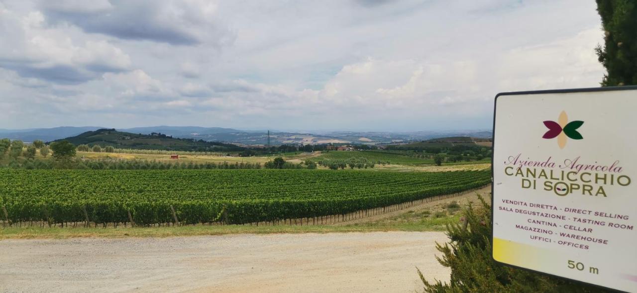 Borgo Canalicchio Di Sopra Relais Montalcino Eksteriør billede